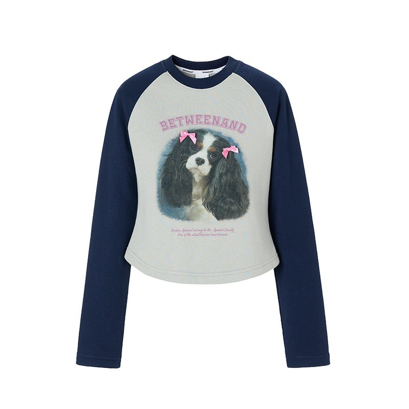 Double Bow Puppy Print Raglan Crop Women's Cotton Blend Long Sleeve T-shirts